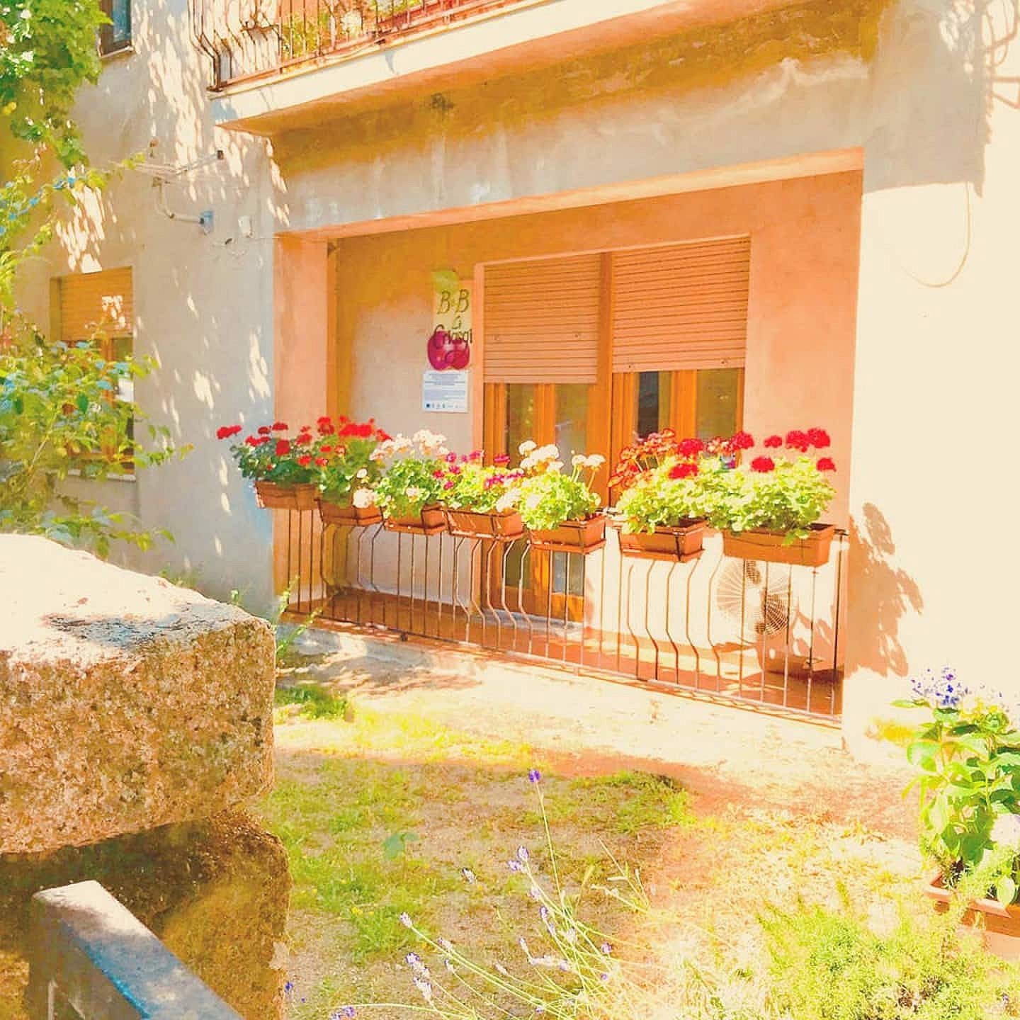 d7954bda-79d6-4c2b-b589-d3df8c6b876c