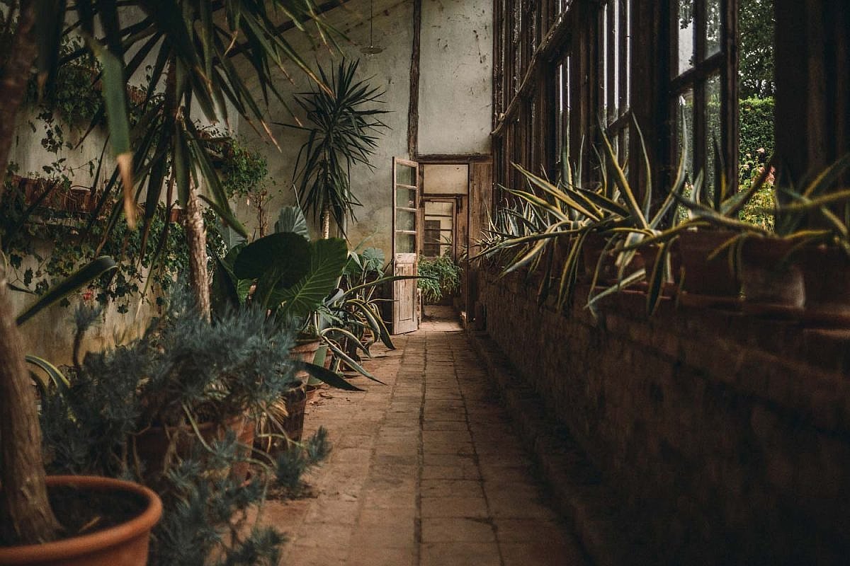 Venue image 53