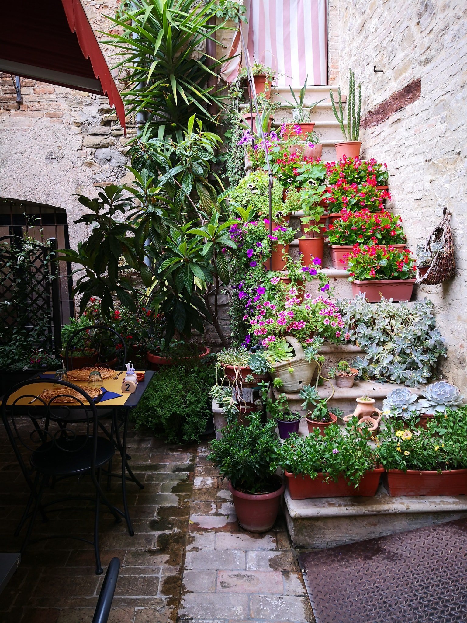 Gallery image 14555