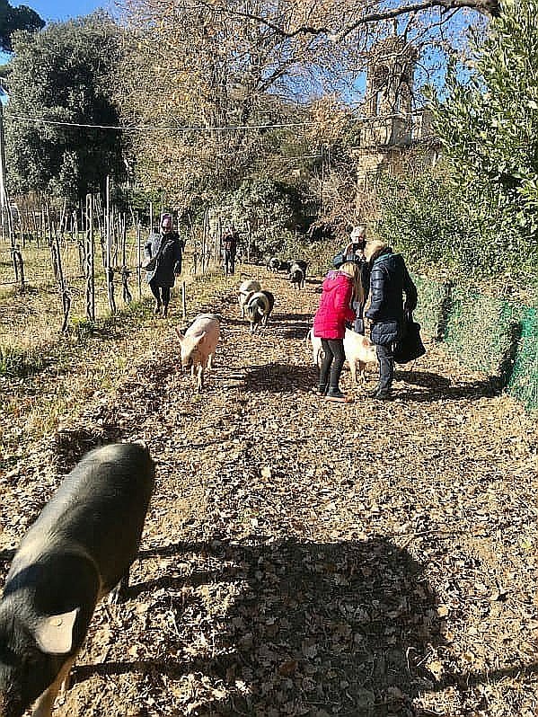 quad-tour-experience-montepulciano-smartway15